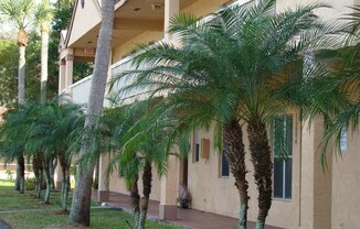 FIRST FLOOR VERY SPACIOUS 2/2 IN A GREAT LOCATION IN CORAL SPRINGS?