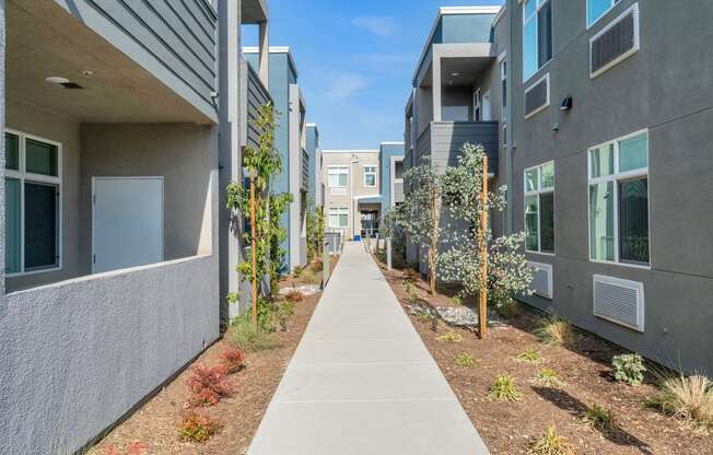 a view down the sidewalk of an apartment complex with trees on both sides of the walkway at Loma Villas Apartments, San Bernardino California