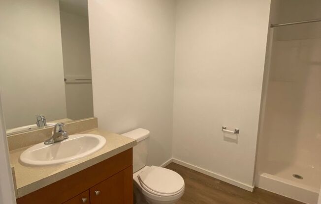 Studio, 1 bath, 175 sqft, $1,195, Unit 3203