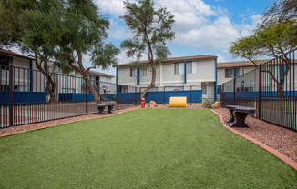 Tucson, AZ Apartments – Midtown on Seneca – Photo of Luxury Dog Park