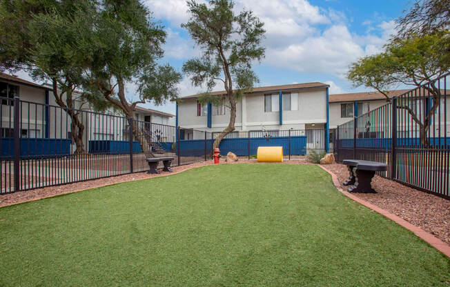 Tucson, AZ Apartments – Midtown on Seneca – Photo of Luxury Dog Park