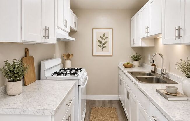 1 bed, 1 bath, 625 sqft, $1,625, Unit 106