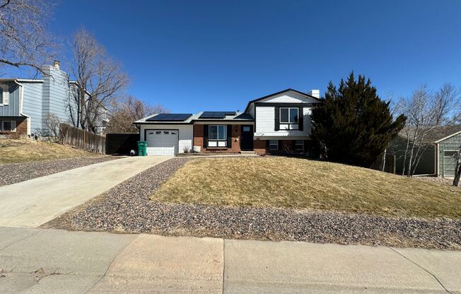 Unique Well Finished Home in Parker