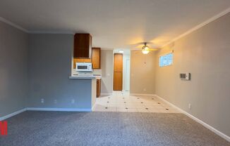 1 bed, 1 bath, 550 sqft, $1,999, Unit 3735-1