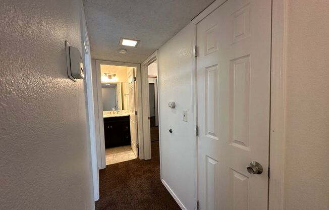 1 bed, 1 bath, $1,200