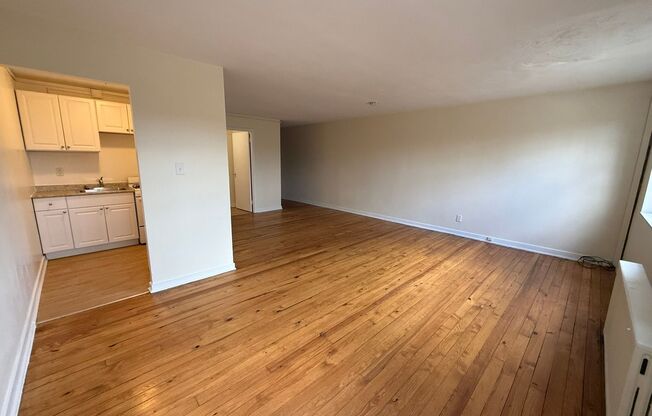 Studio, 1 bath, 487 sqft, $1,250, Unit Fifth 102