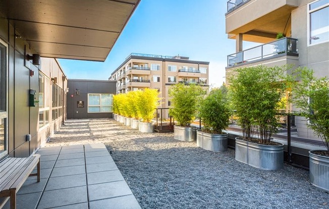 outdoor social area