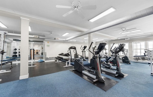 A spacious gym with a variety of equipment and a blue carpet.
