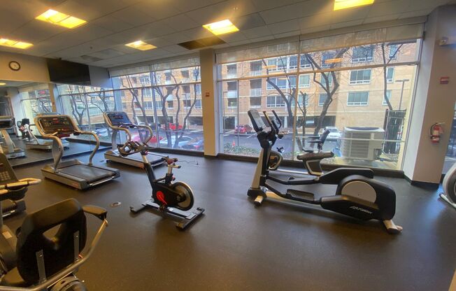 Studio, 1 bath, $1,750, Unit UNIT S414