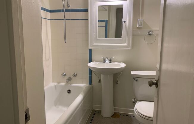 Studio, 1 bath, 325 sqft, $1,195, Unit 110