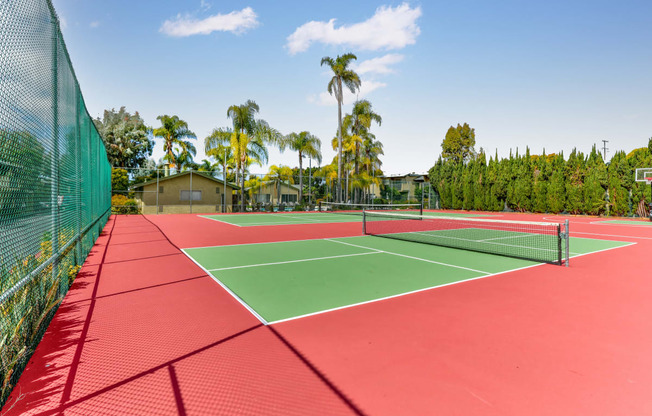 two tennis courts with palm trees in the background on a sunny day