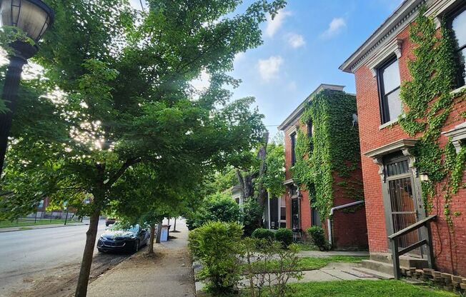 Light and Airy 2 bedroom 1 bathroom apartment with washer/dryer-hook ups in unit!