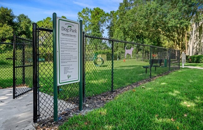 Fenced in Dog Park
