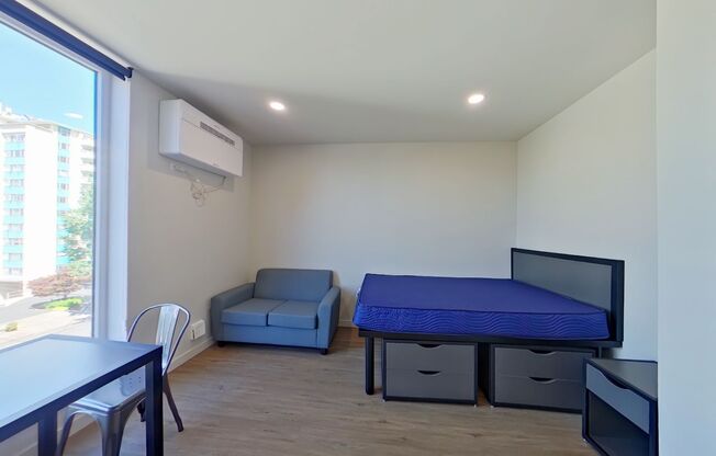 Studio, 1 bath, 314 sqft, $1,225, Unit 404