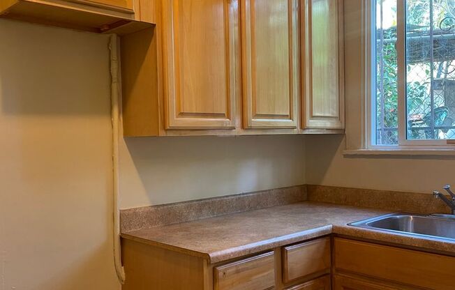 Studio, 1 bath, 450 sqft, $1,500, Unit SUN07