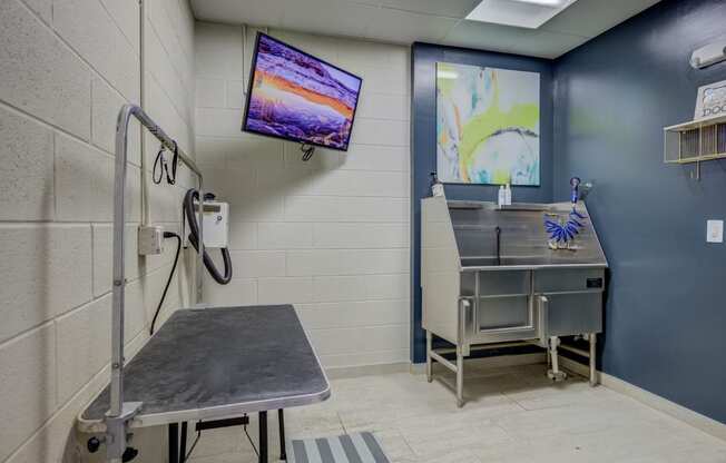 Pet Wash Center at The Lincoln Apartments, Raleigh, NC, 27601
