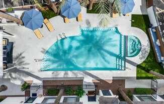 A swimming pool surrounded by palm trees and umbrellas.