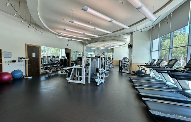 1 bed, 1.5 baths, $2,350, Unit #2505
