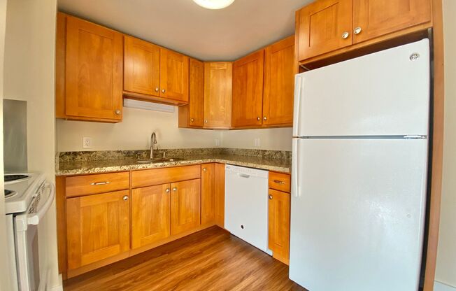 1 bed, 1 bath, 495 sqft, $1,595, Unit 303