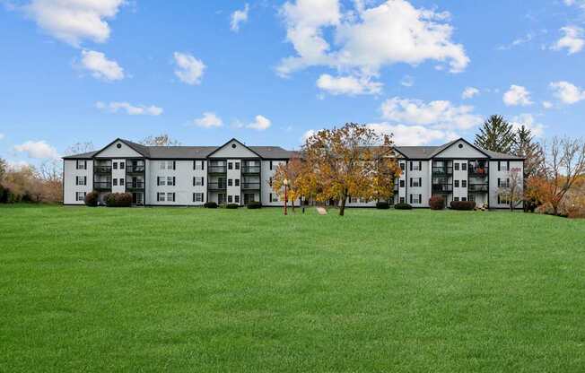 A large grassy field with apartment buildings in the background.
