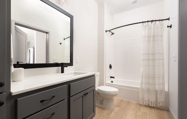 Studio, 1 bath, 603 sqft, $1,565, Unit 508