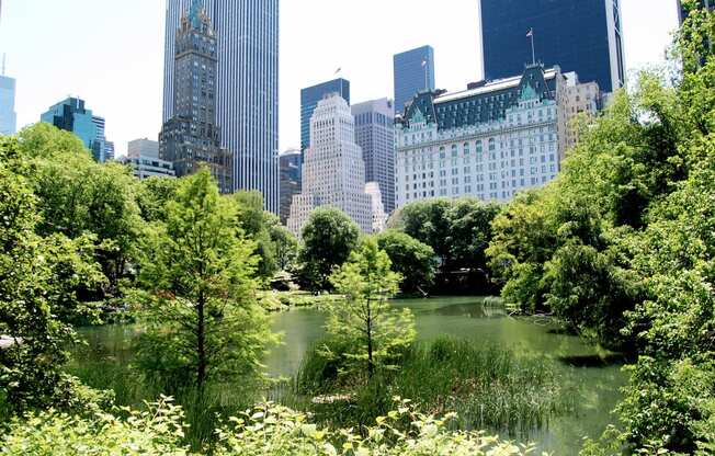 Central Park near The Ashley Upper West Side Apartments in NYC