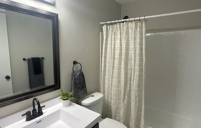 1 bed, 1 bath, 504 sqft, $979, Unit 1061