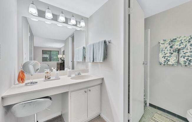 a bathroom with a sink and a shower