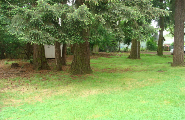 Tall Firs Aparments