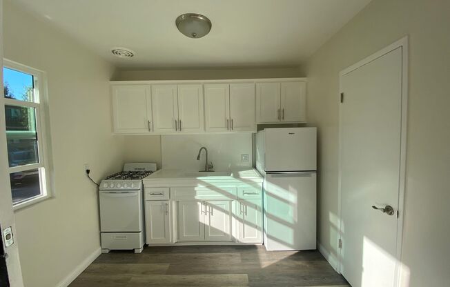 1 bed, 1 bath, 500 sqft, $1,795, Unit 3744-06