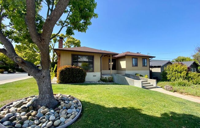 Renovated Single-Family Home on the Peninsula - Pets Negotiable