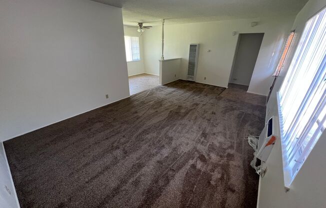 1 bed, 1 bath, $1,550, Unit 3