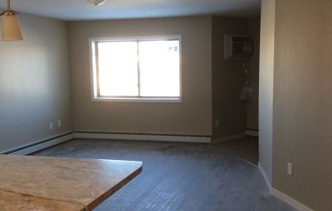 Studio, 1 bath, 789 sqft, $985, Unit 113