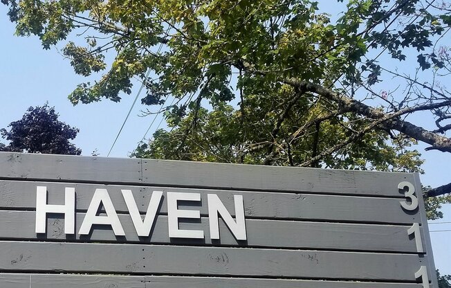 Haven 3116 LLC