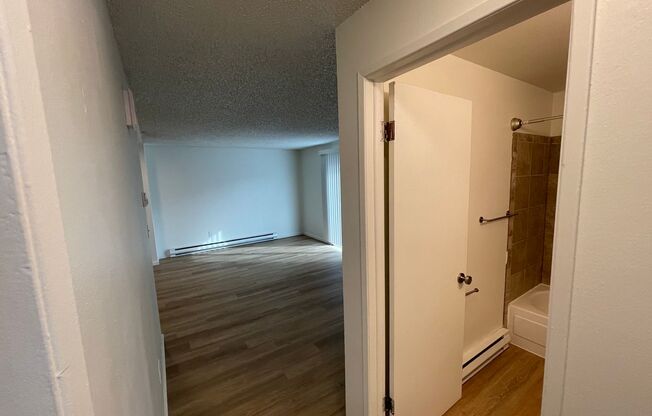 2 beds, 1 bath, 780 sqft, $1,100, Unit 11