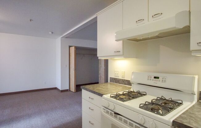 Studio, 1 bath, $1,295, Unit 2548A