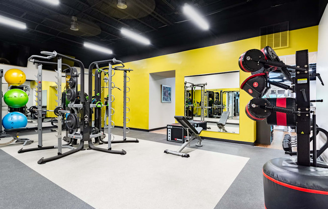 the gym is equipped with weights and cardio equipment