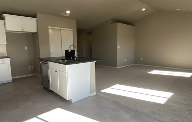Occupied, do not go to the door. Newly built West Valley 3 br 2 ba 3 car garage, mowing included!