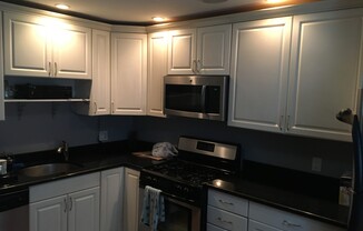 1 bed, 1 bath, $2,850, Unit 1