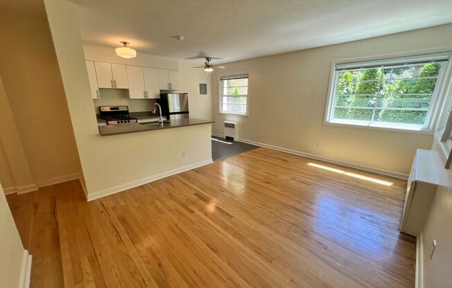 1 bed, 1 bath, 606 sqft, $1,495, Unit 308