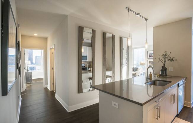 The Elle Apartments in South Loop Chicago