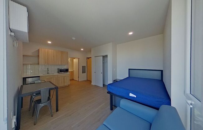 Studio, 1 bath, 314 sqft, $1,225, Unit 401