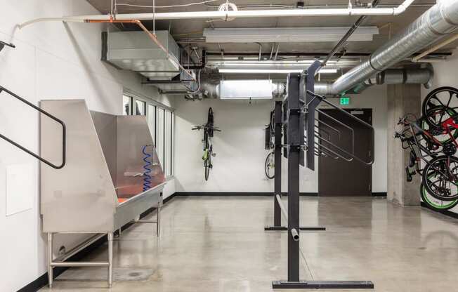 dog grooming station