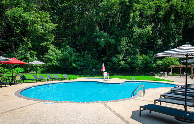 a swimming pool with chairs and umbrellas and trees in the background