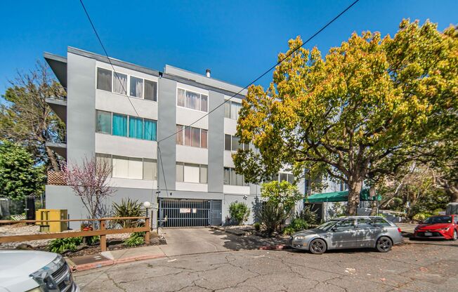 1 bed, 1 bath, $1,900