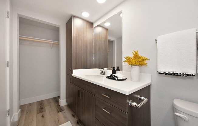 the preserve at ballantyne commons modern bathroom with white sink and wood cabinets at Track 281 Apartments, Sacramento, CA