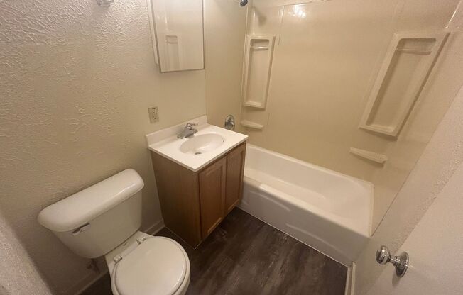 Studio, 1 bath, $750, Unit 317