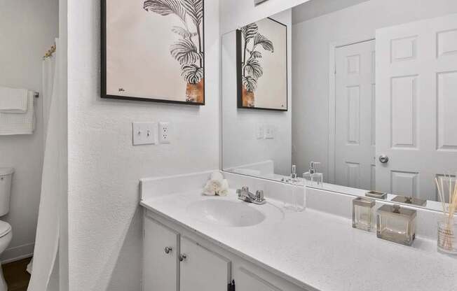 A bathroom with a white sink and a mirror.