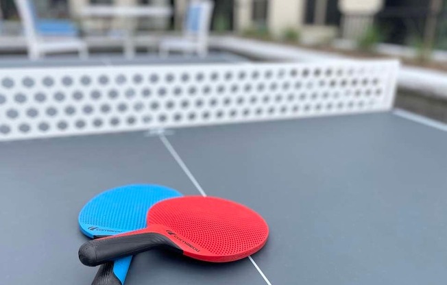 Table Tennis Ping Pong Two blue and red paddles on a table.