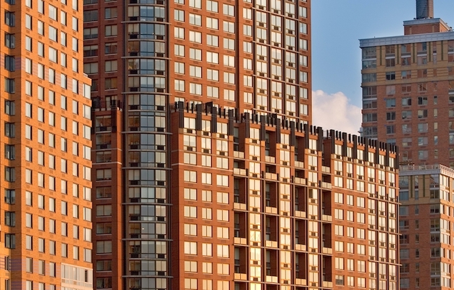 1 bed, 1 bath, $5,025, Unit 11M